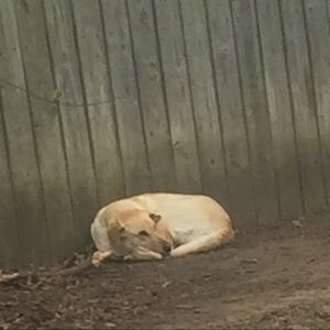 Meet your Posher, Carly